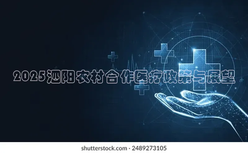 爱游戏app官方入口最新版本